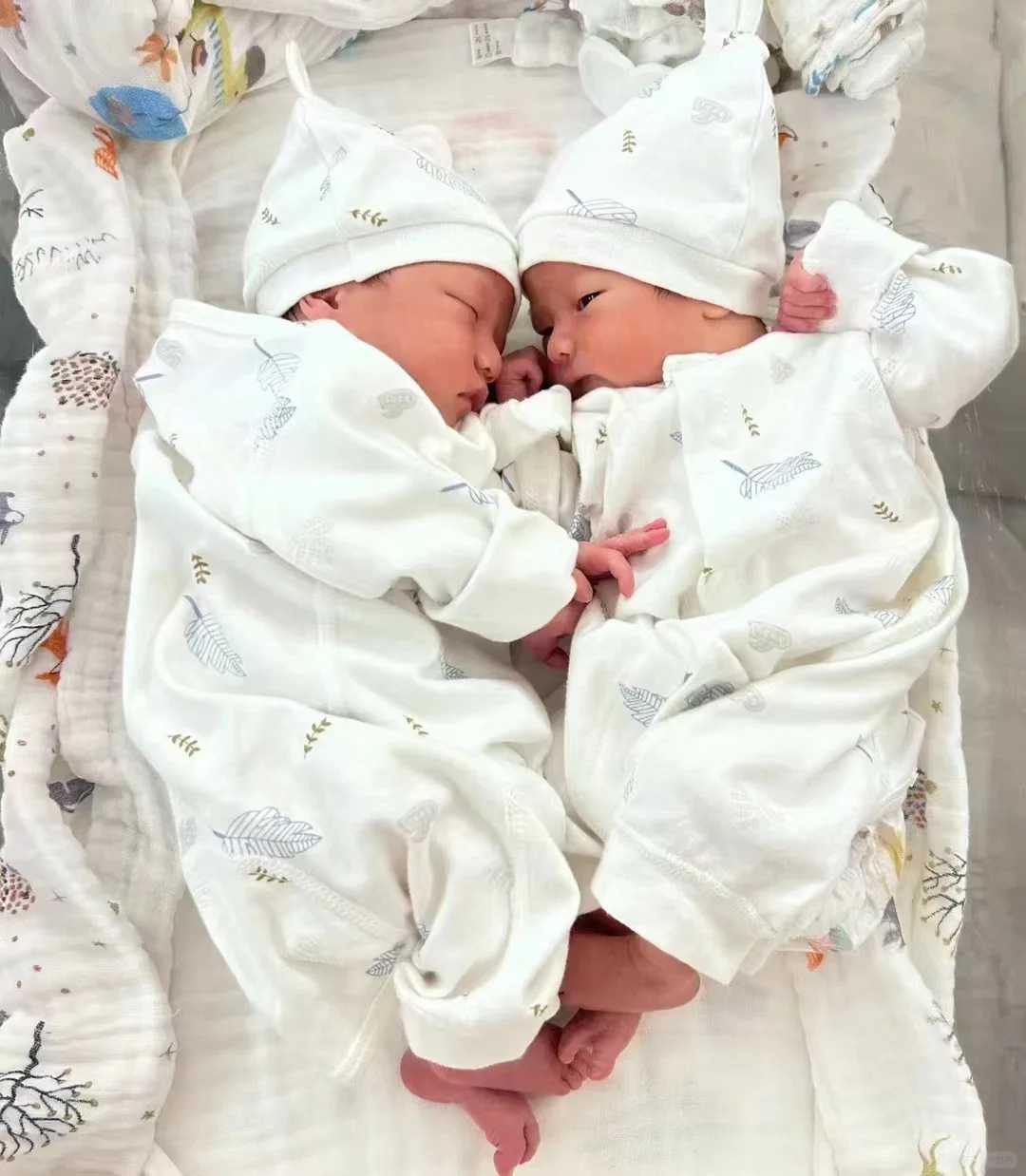 海外供卵试管_助孕试管供卵,【河南省供卵试管中心供卵助孕流程】分享我的顺