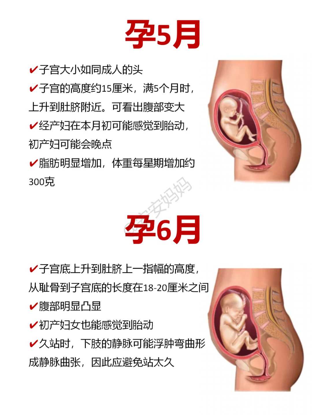 重庆供卵试管代怀代怀 重庆妈妈待产包清单 ‘2个月彩超单怎么看男女’