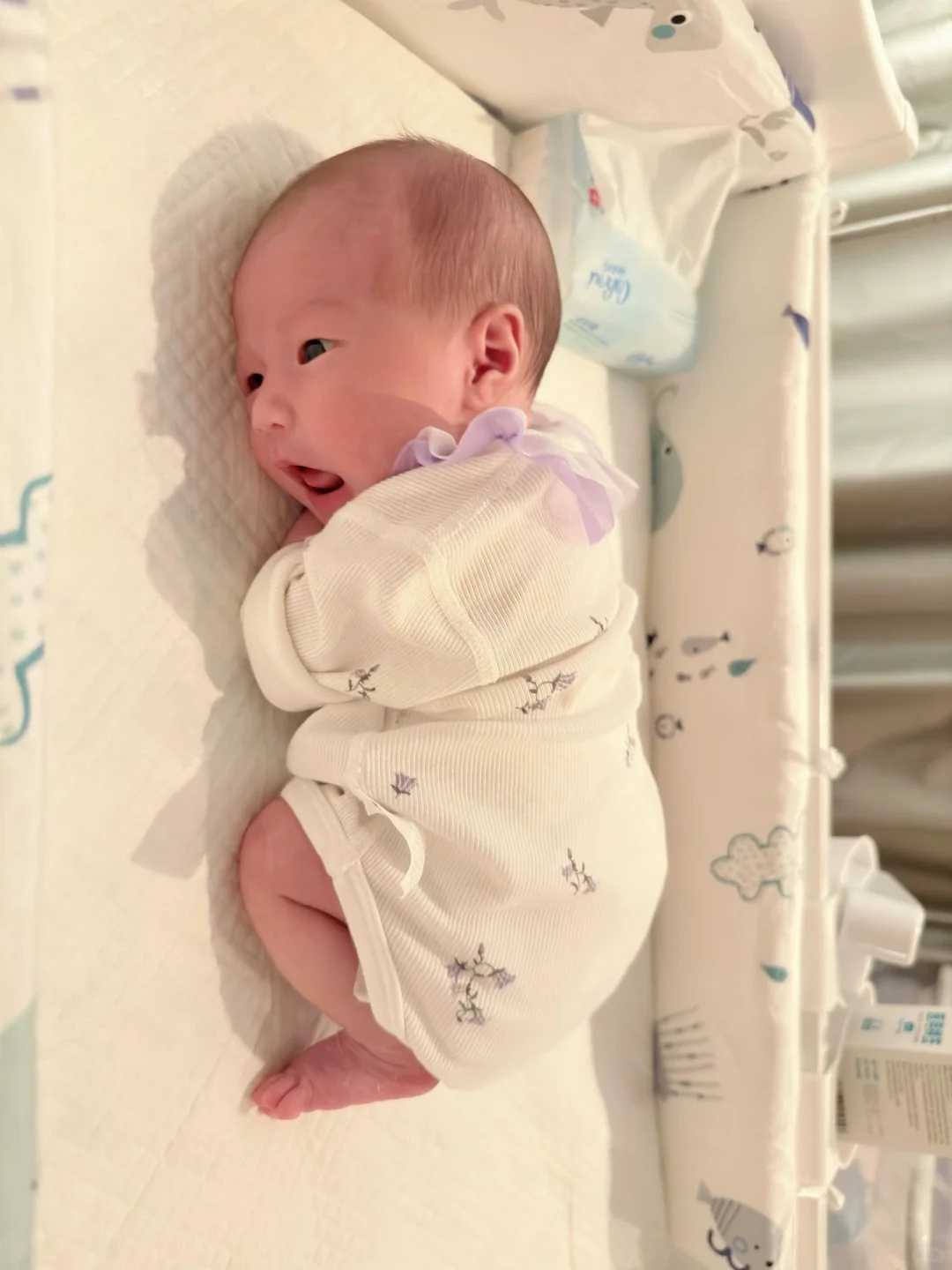 试管借卵_试管接受供卵,广州有泰国试管中介吗_泰国试管靠谱吗