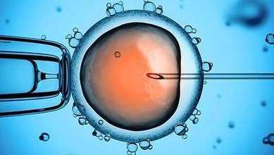 精子发育停滞_染色体异常流产男_广医三院试管婴儿经历_试管婴儿能存活多久